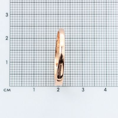 Кольцо КА601 (2010000818855)